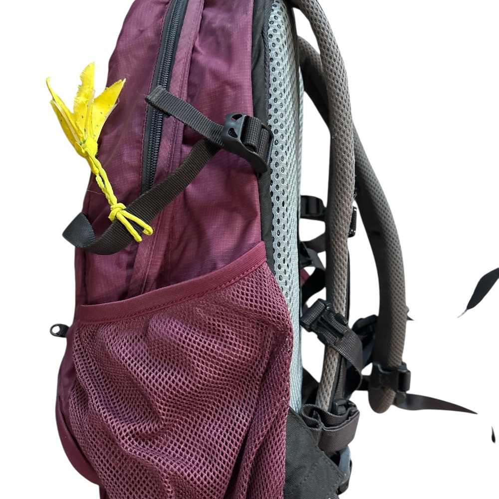 Deuter Navajo 23 SL Purple/Burgundy Hiking Backpack with Rain Cover - Picture 11 of 12